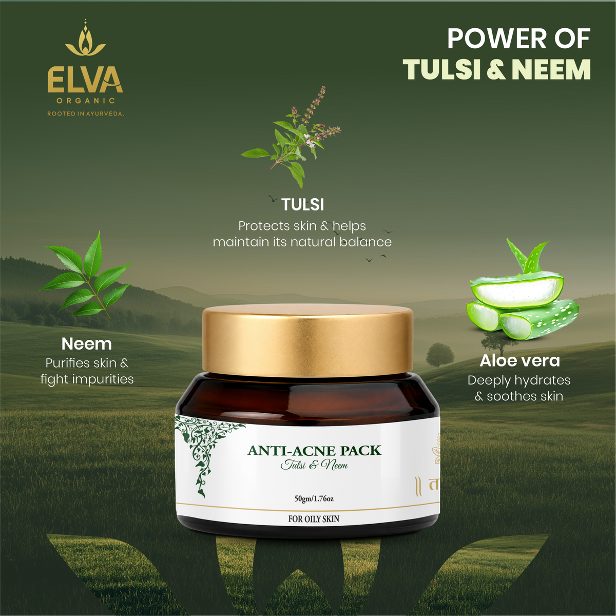 ELVA ORGANIC Tulsi and Neem face pack with Multani Mitti and Aloe Vera for oily skin