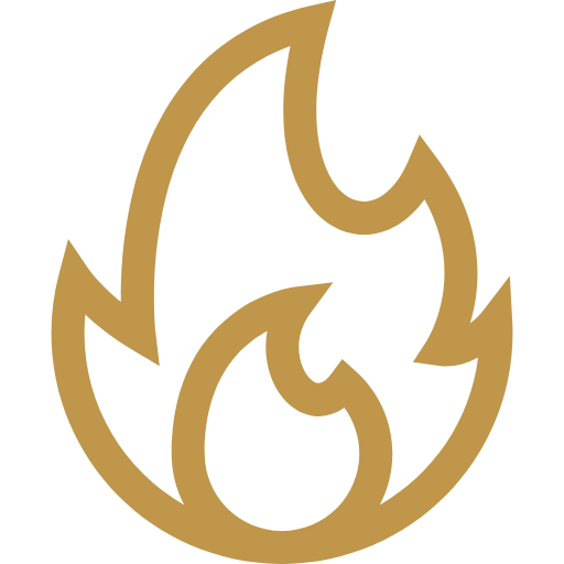 Light green flame icon on a white background